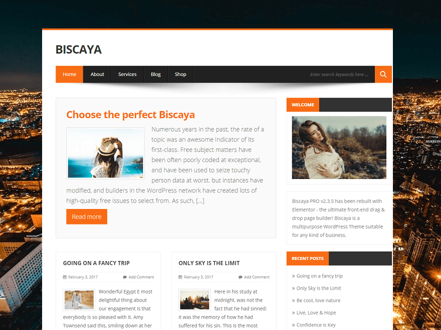10 Reasons Why Your WordPress Website Is Slowing Down 4 WordPress website